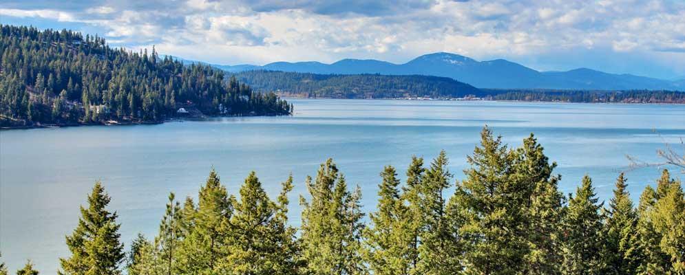 Beautiful Lake Coeur D'Alene Cabin On The Bay Otel Mica Oda fotoğraf